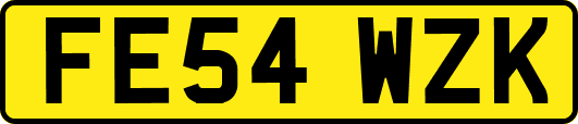 FE54WZK