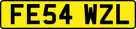 FE54WZL