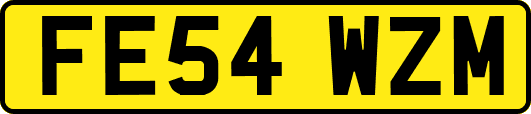 FE54WZM