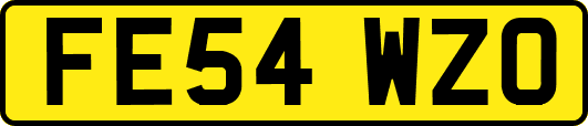 FE54WZO