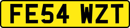 FE54WZT