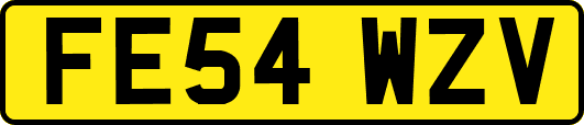 FE54WZV