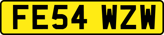 FE54WZW