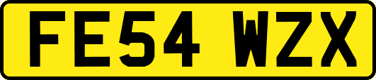 FE54WZX