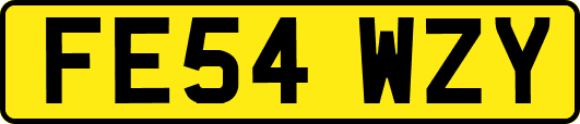 FE54WZY