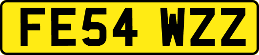 FE54WZZ