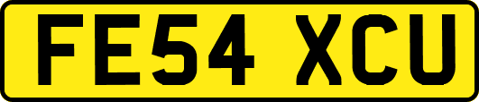 FE54XCU