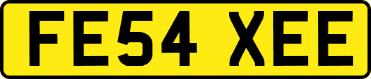 FE54XEE