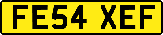FE54XEF
