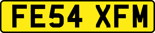 FE54XFM