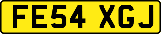 FE54XGJ