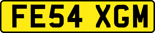 FE54XGM