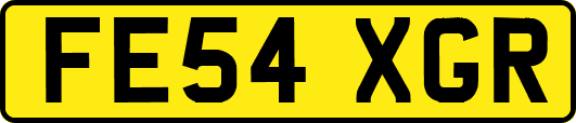 FE54XGR