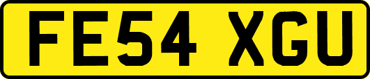 FE54XGU