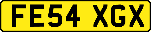 FE54XGX