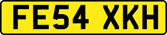 FE54XKH