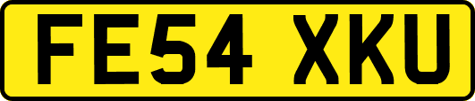 FE54XKU