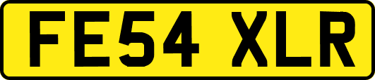 FE54XLR