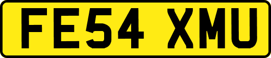FE54XMU