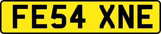 FE54XNE