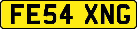 FE54XNG