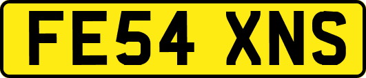 FE54XNS