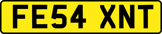 FE54XNT
