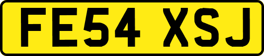 FE54XSJ
