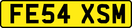 FE54XSM