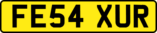 FE54XUR