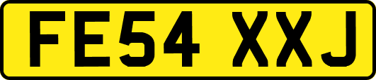 FE54XXJ