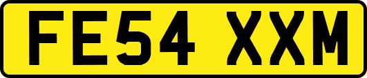FE54XXM