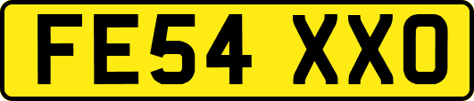 FE54XXO
