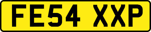 FE54XXP