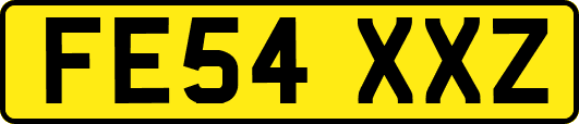 FE54XXZ