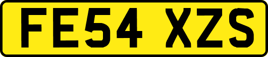 FE54XZS