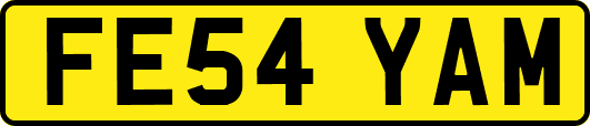 FE54YAM