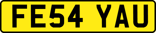 FE54YAU