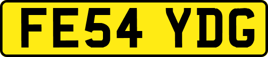 FE54YDG