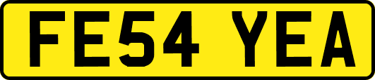FE54YEA