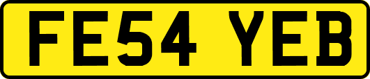 FE54YEB