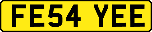 FE54YEE