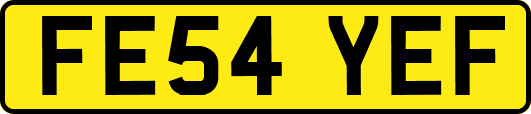 FE54YEF