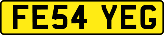 FE54YEG