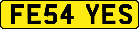 FE54YES