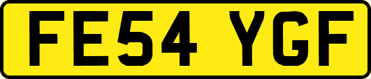 FE54YGF