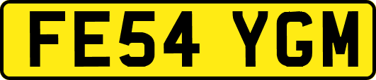 FE54YGM