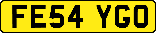 FE54YGO