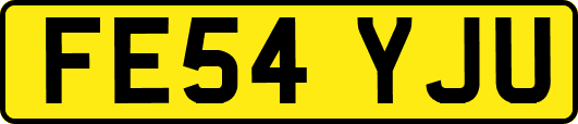 FE54YJU