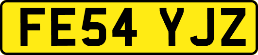 FE54YJZ